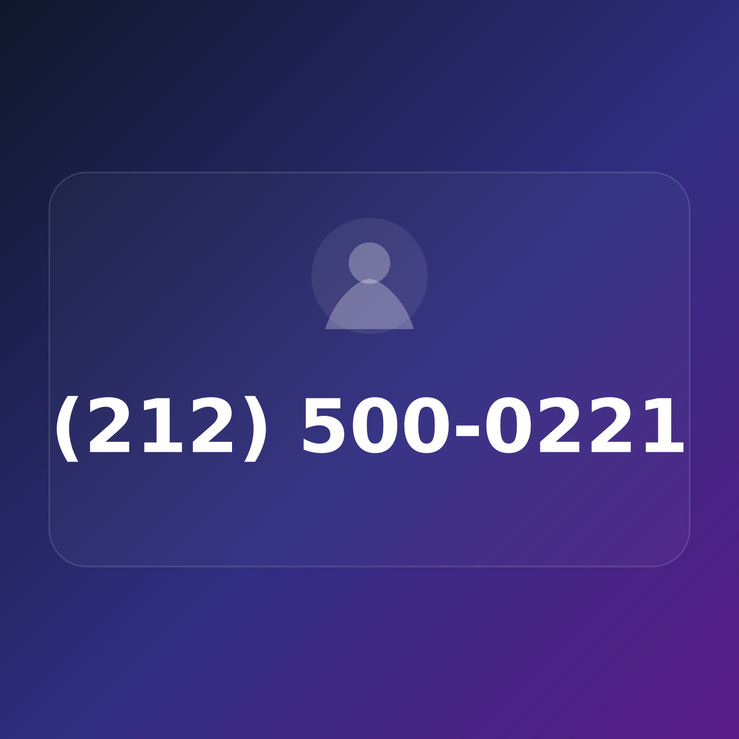 (212) 500-0221 product image