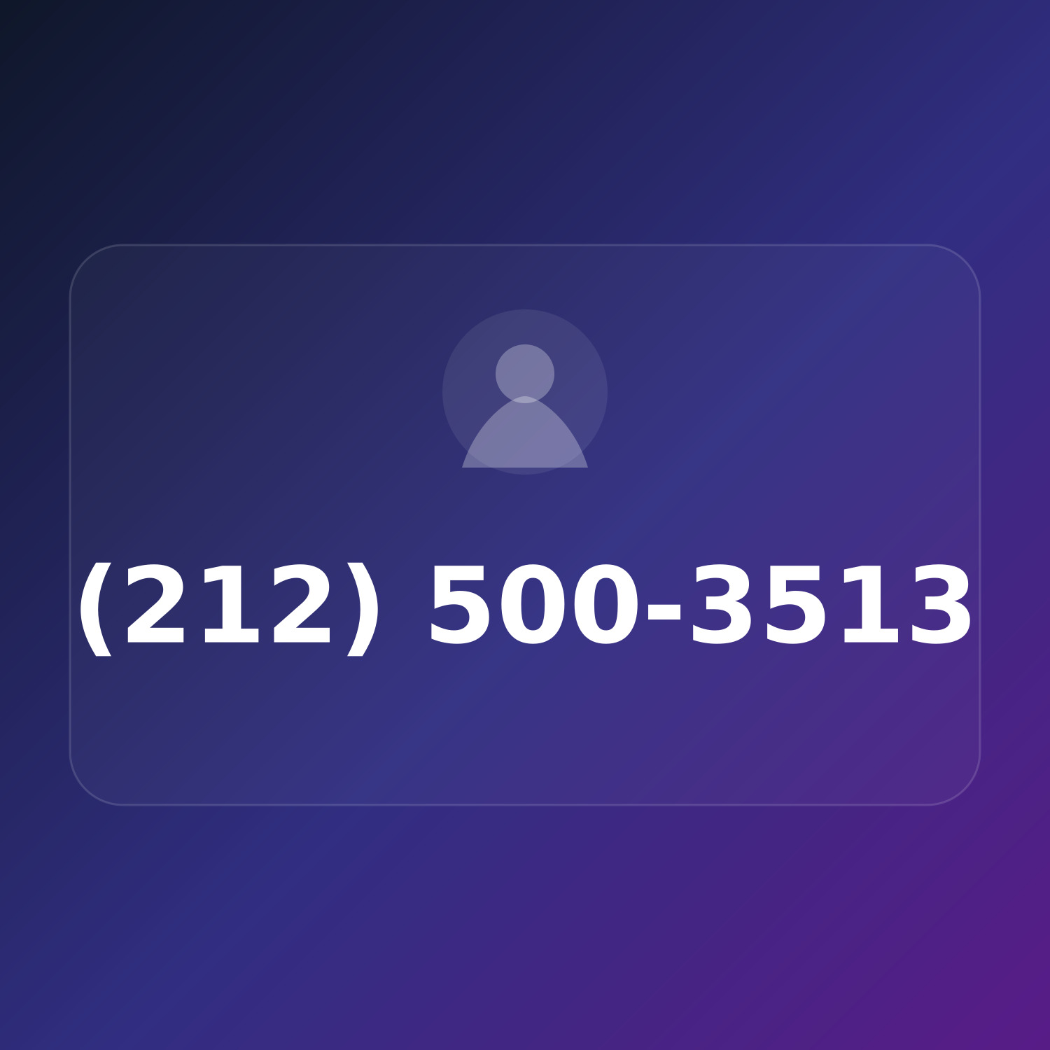 (212) 500-3513 product image