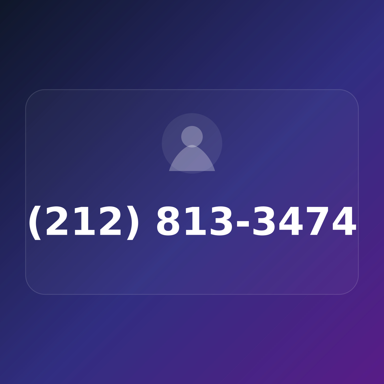 (212) 813-DISH product image
