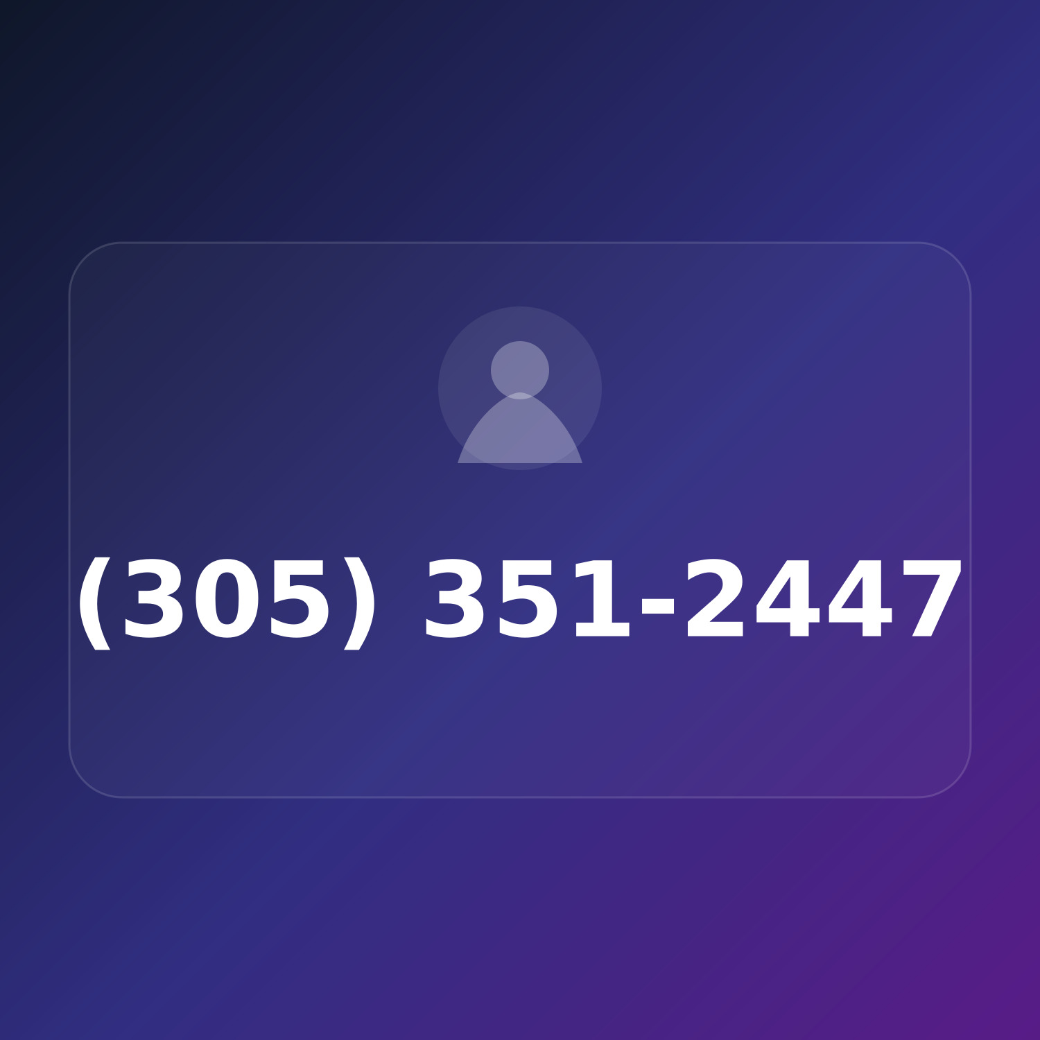 (305) 351-CHIP product image