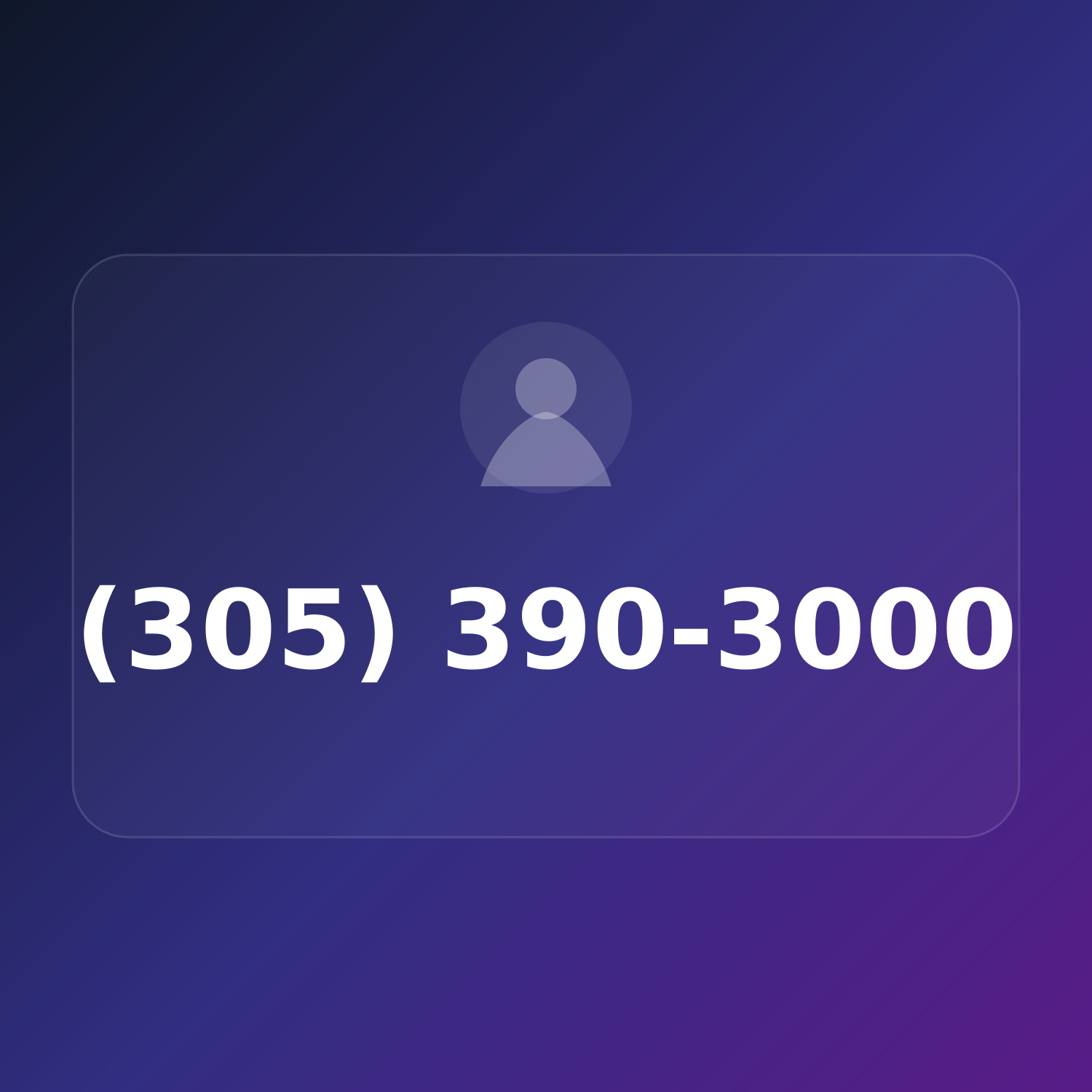 (305) 390-3000 product image