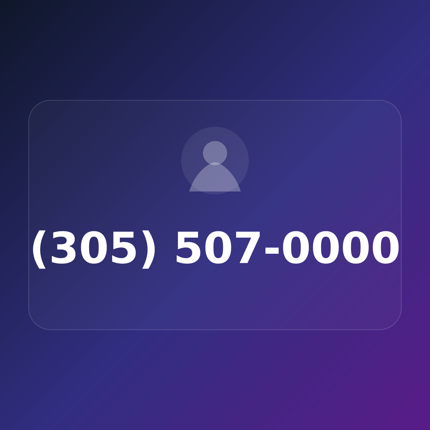(305) 507-0000 product image