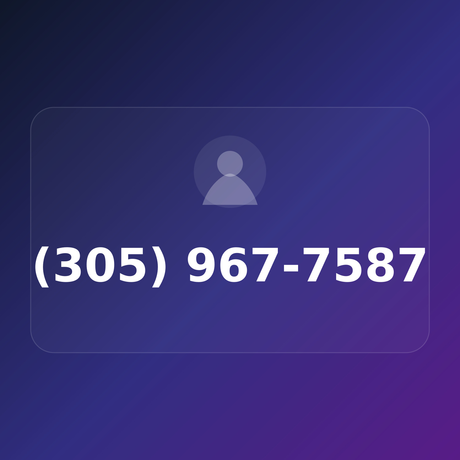 (305) 967-PLUS product image
