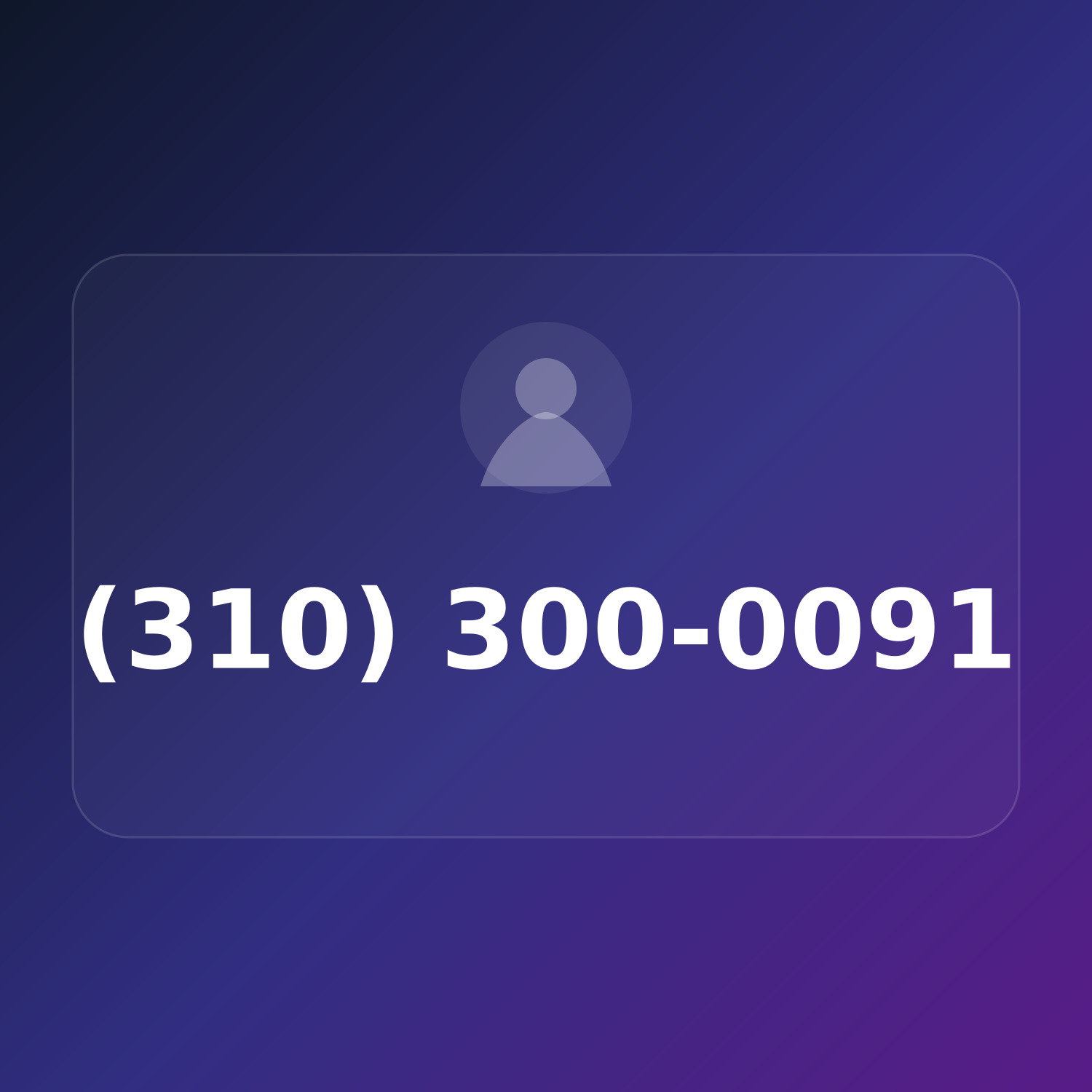 (310) 300-0091 product image