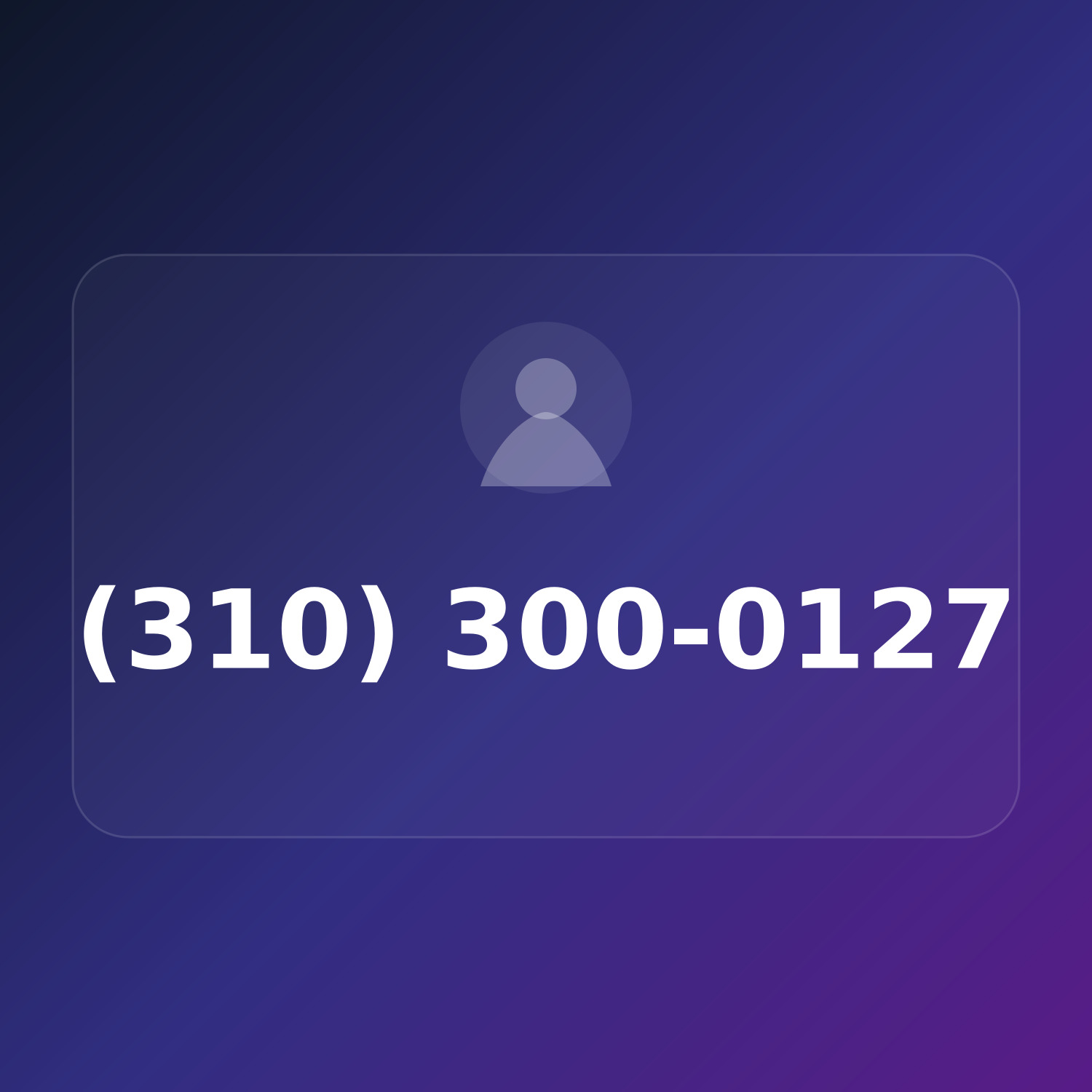 (310) 300-0127 product image