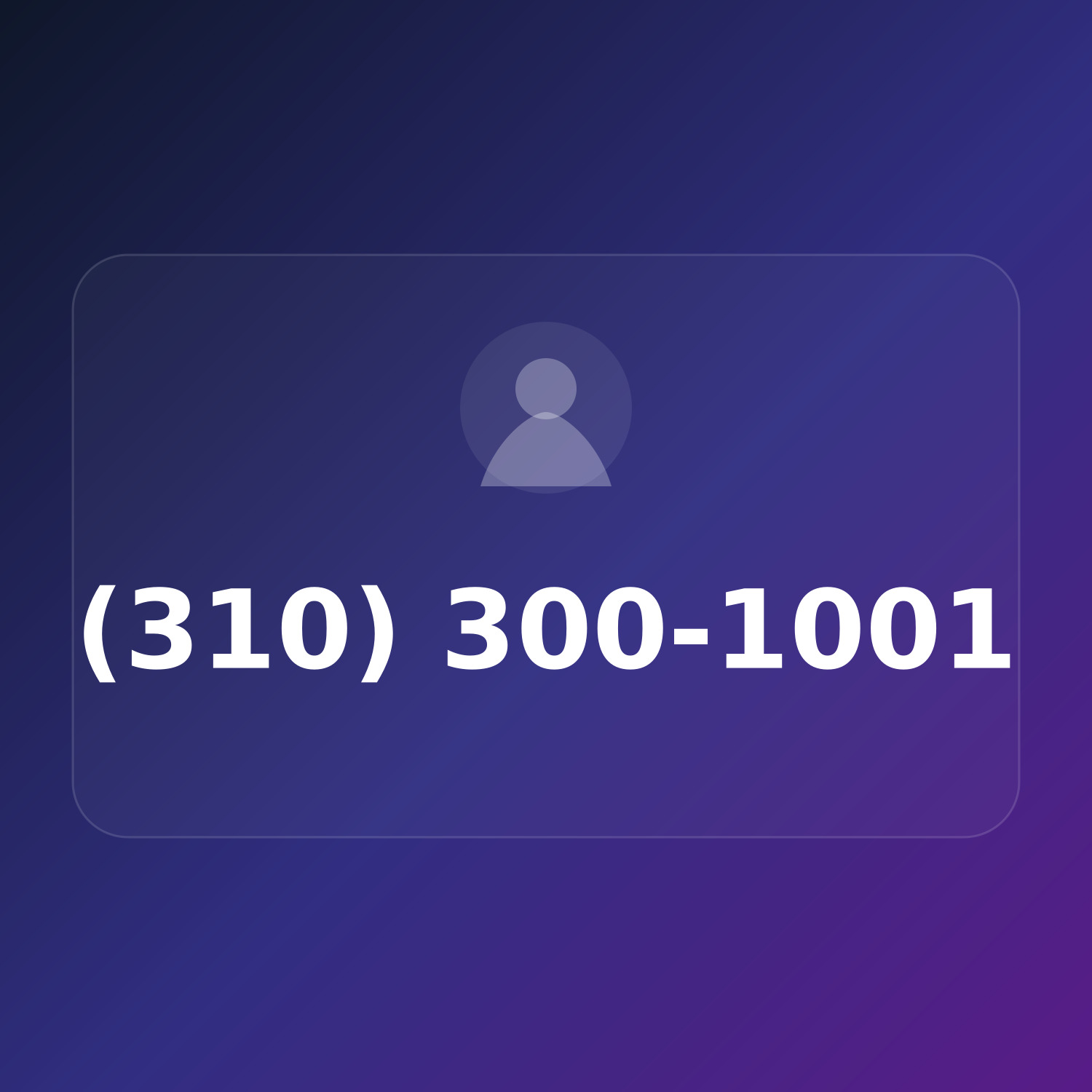 (310) 300-1001 product image