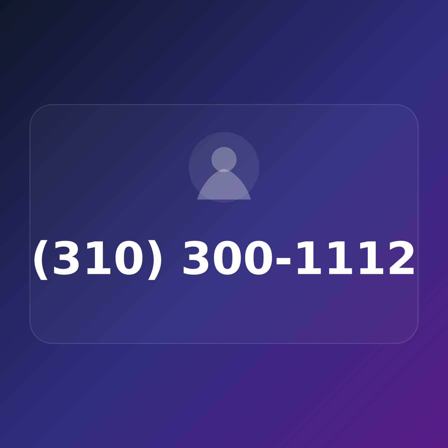 (310) 300-1112 product image