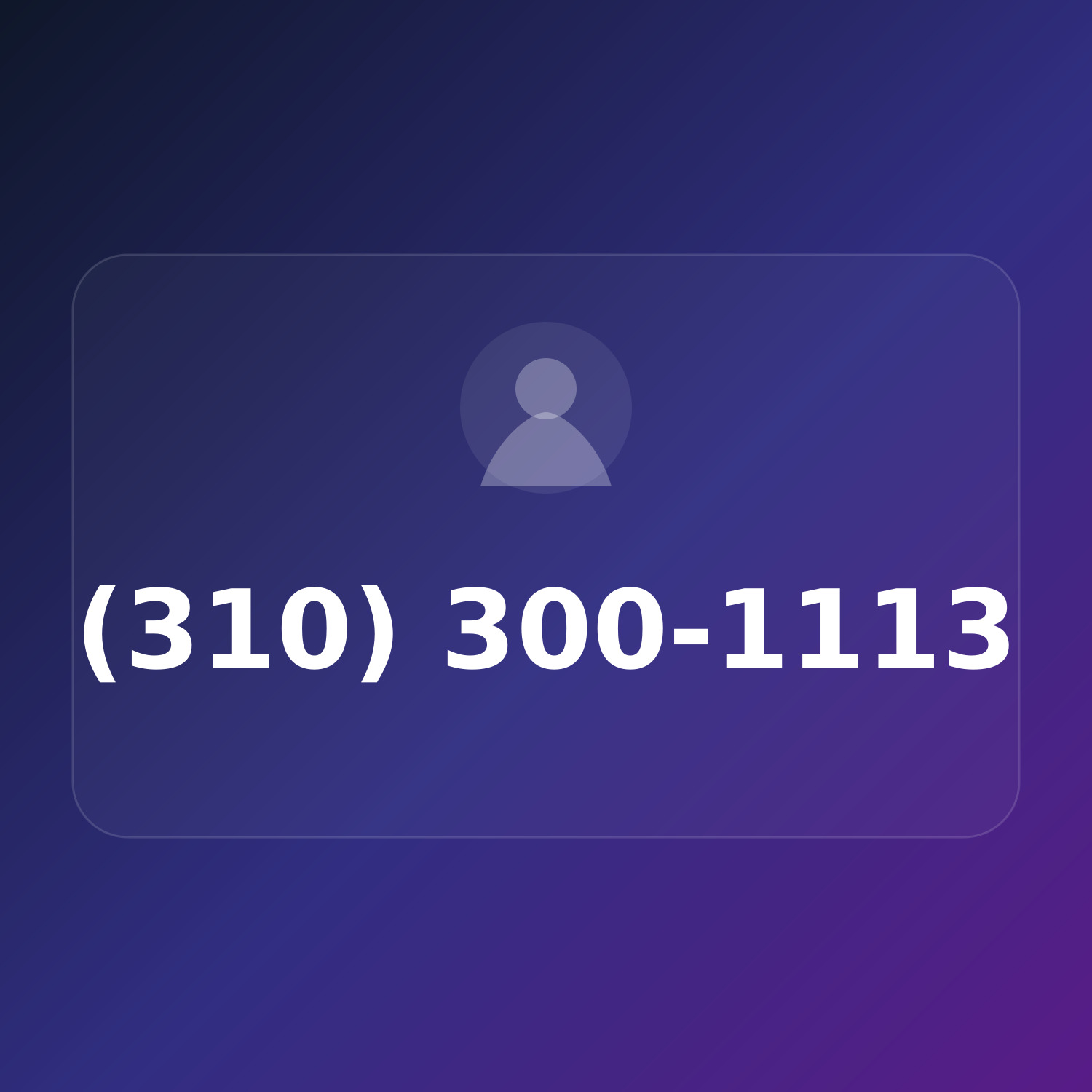 (310) 300-1113 product image