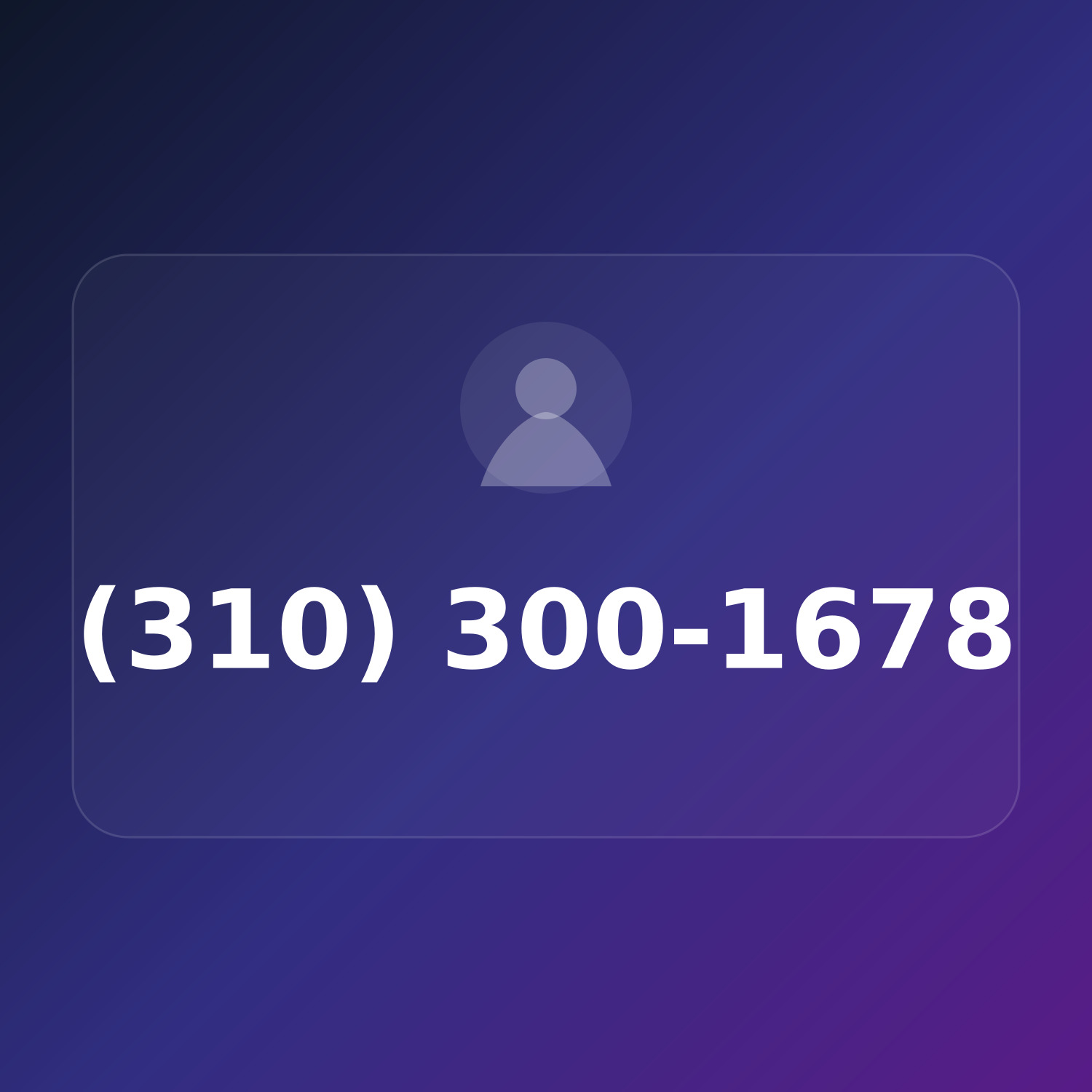 (310) 300-1678 product image