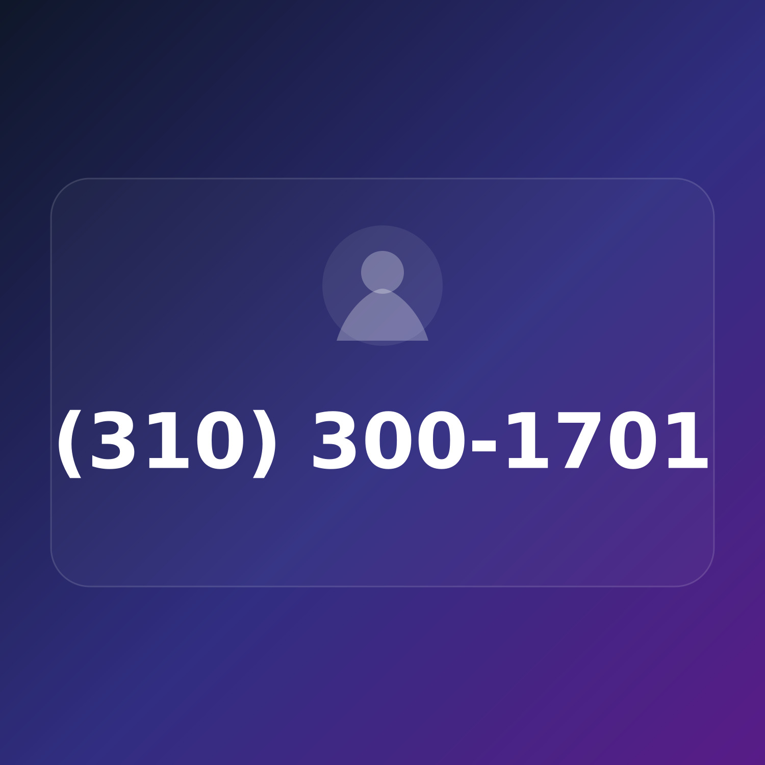 (310) 300-1701 product image