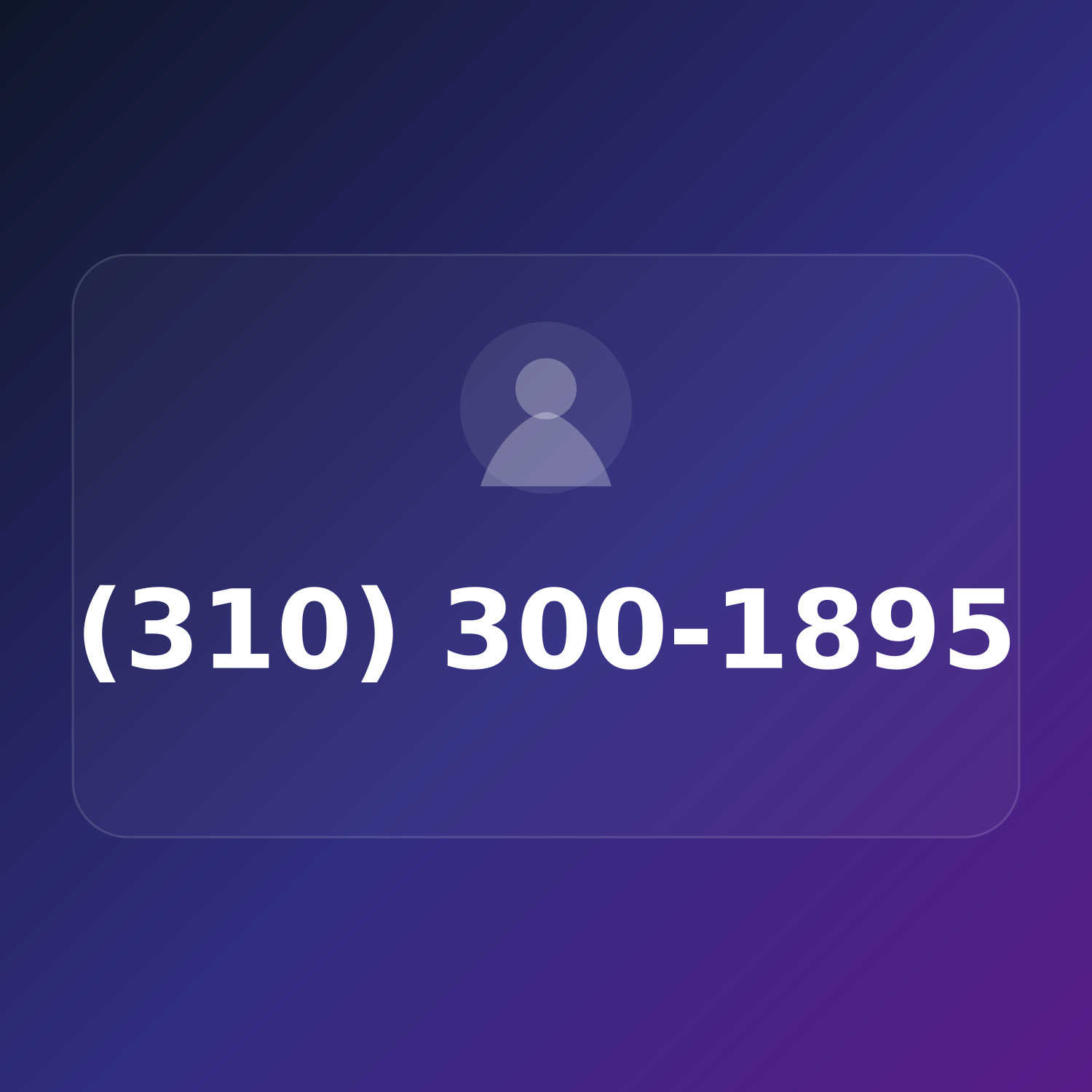 (310) 300-1895 product image
