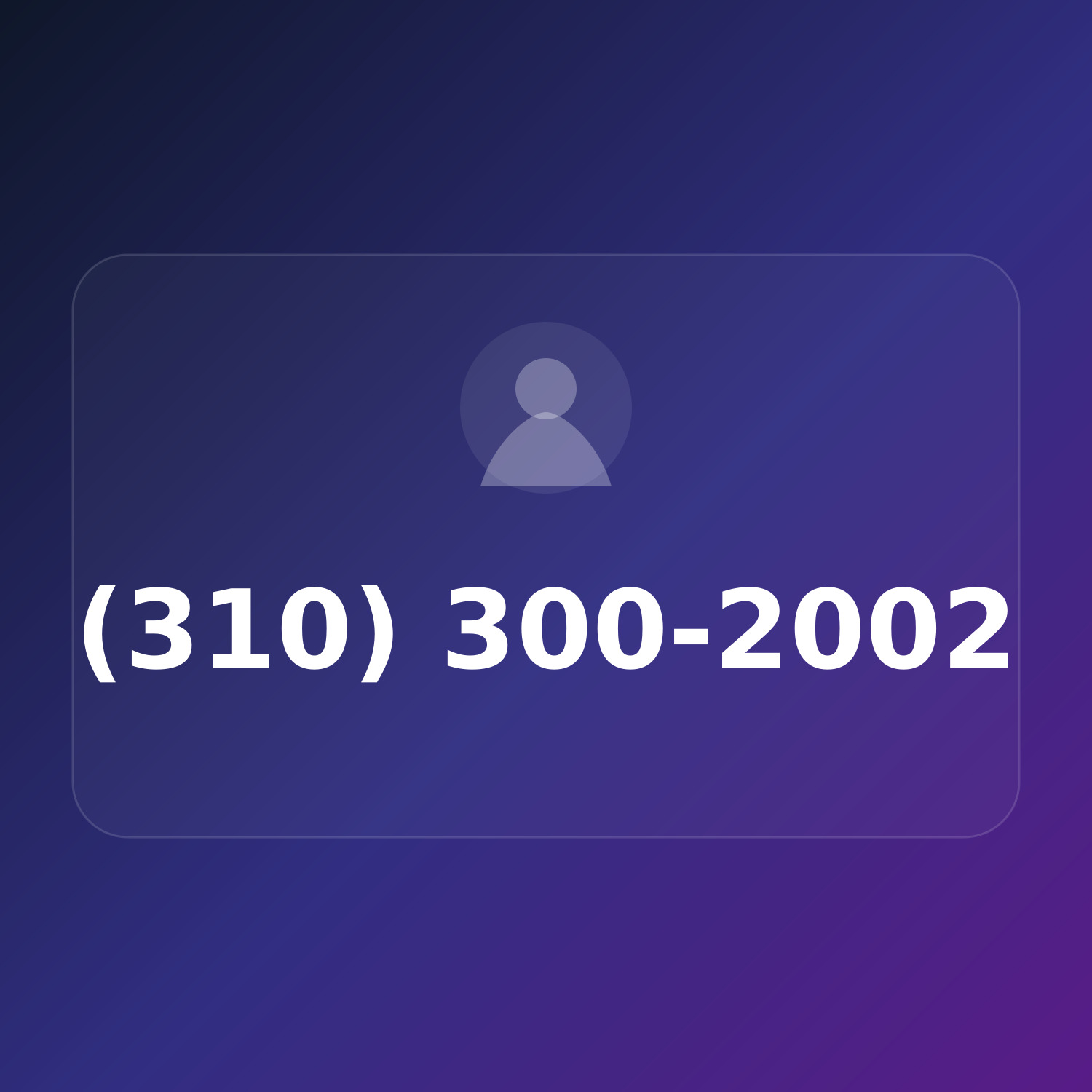 (310) 300-2002 product image