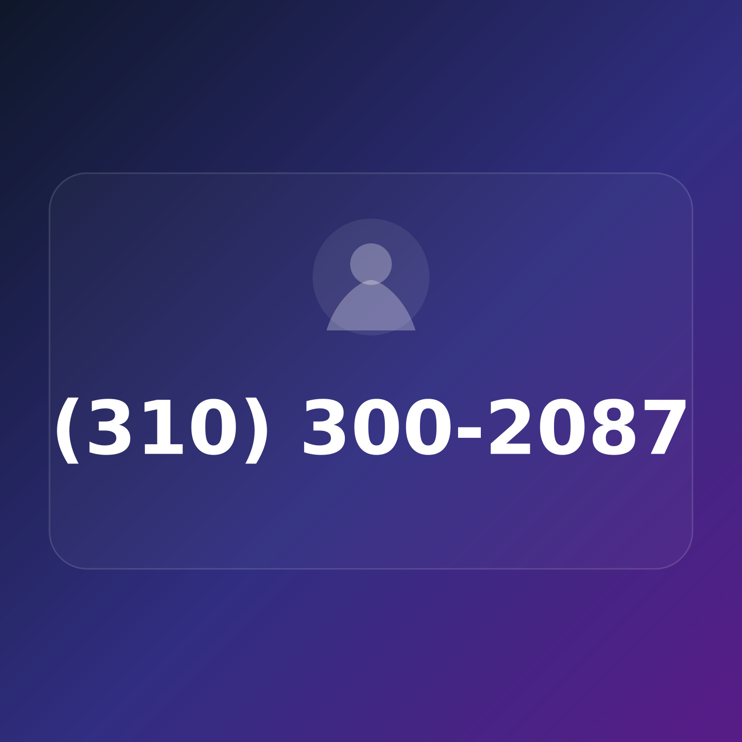 (310) 300-2087 product image