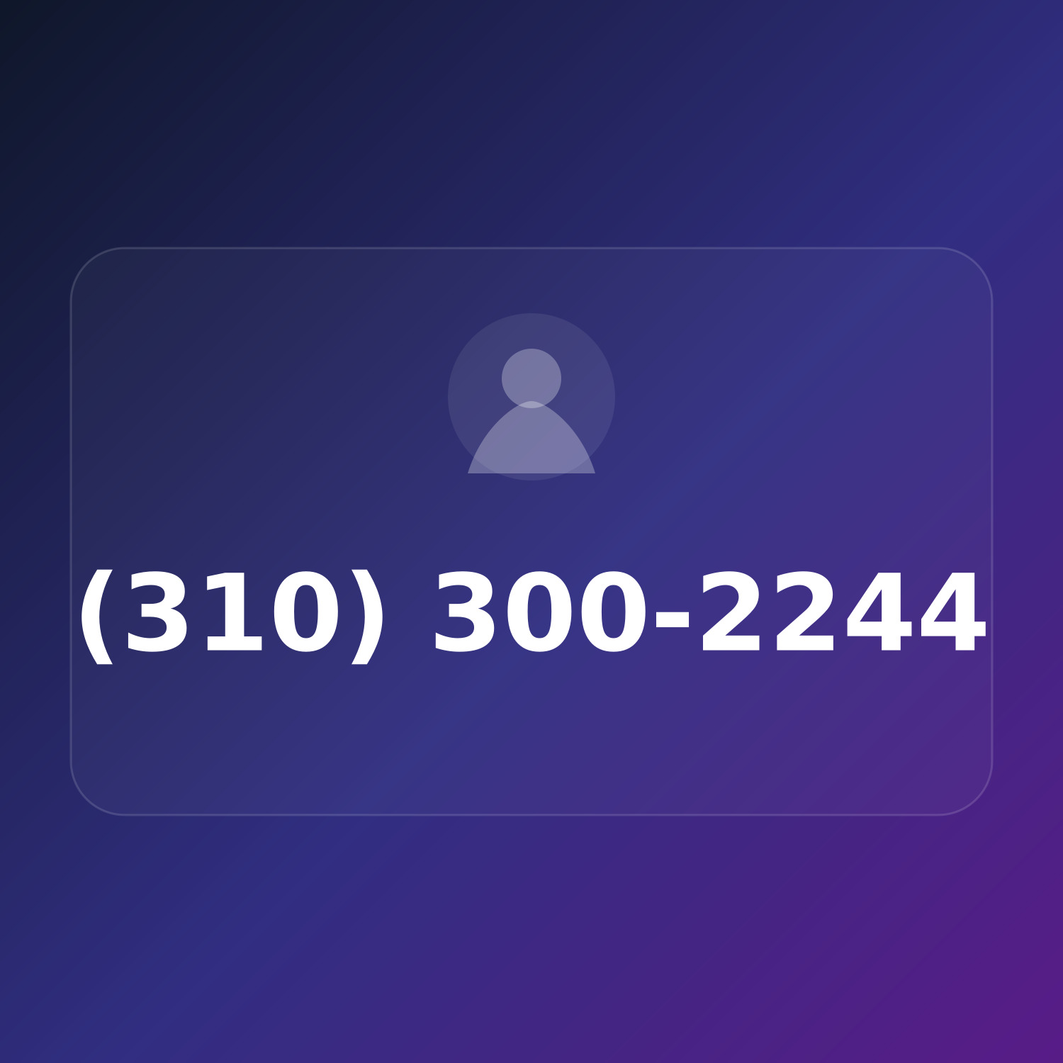 (310) 300-2244 product image