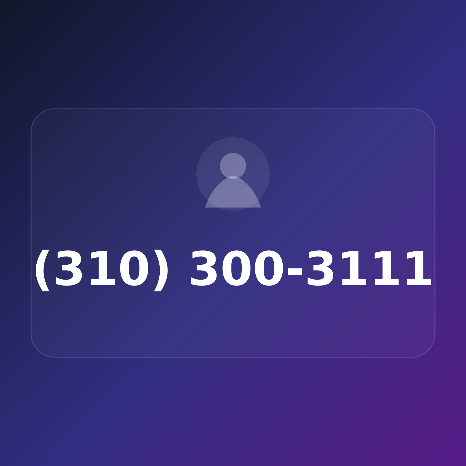 (310) 300-3111 product image