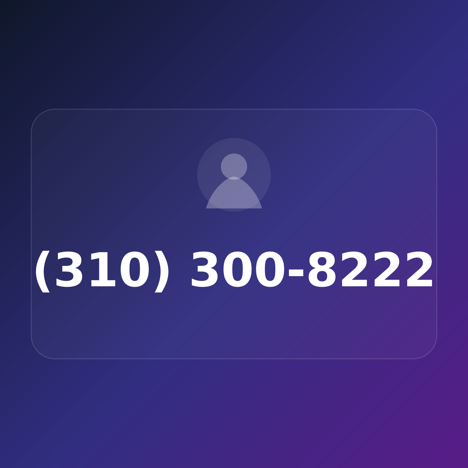 (310) 300-8222 product image