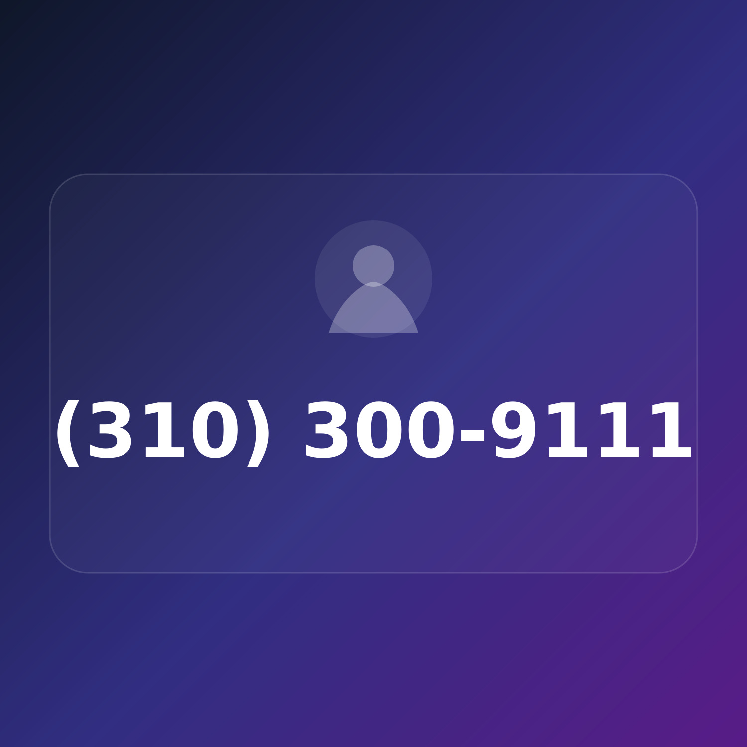(310) 300-9111 product image