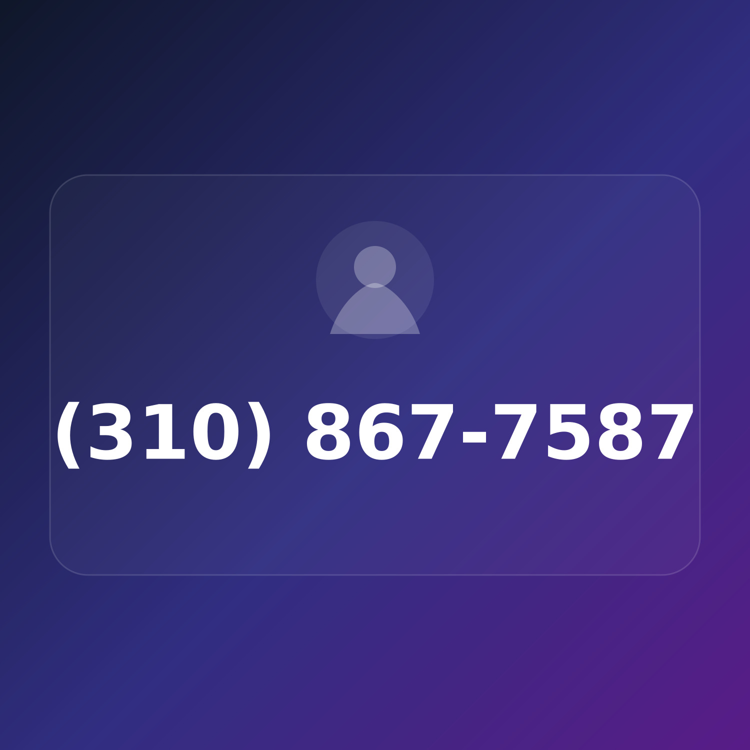 (310) 867-PLUS product image