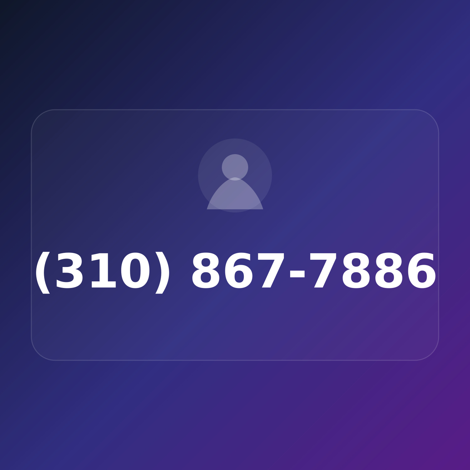 (310) 867-STUN product image