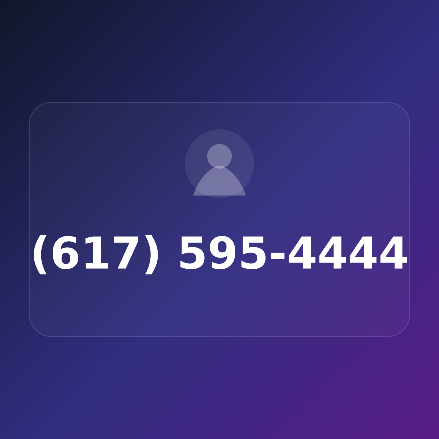 (617) 595-HIGH product image