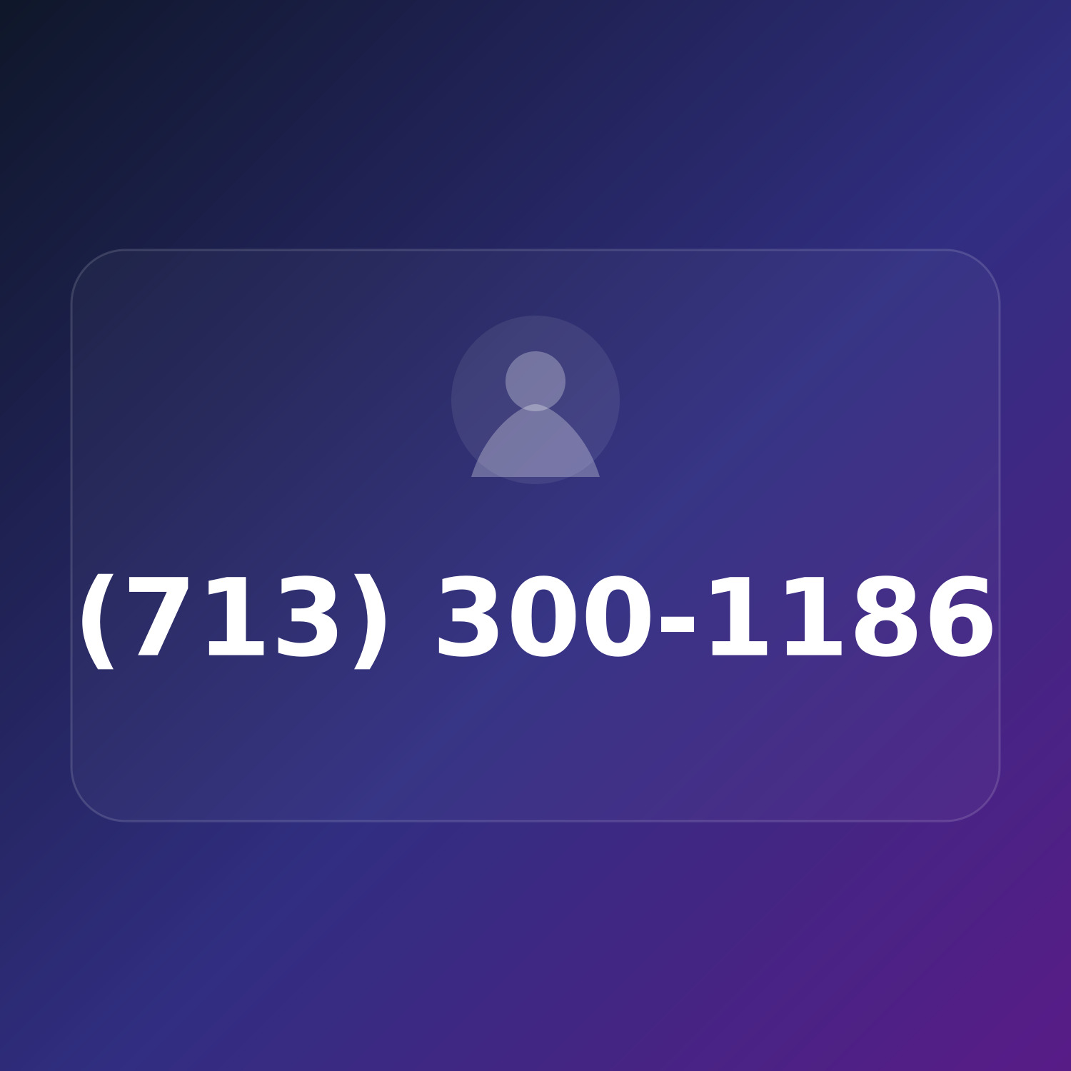 (713) 300-1186 product image