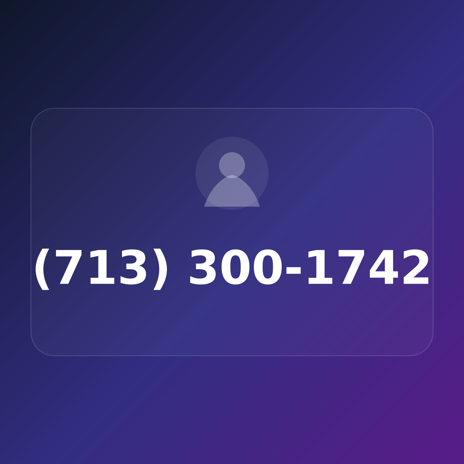 (713) 300-1742 product image