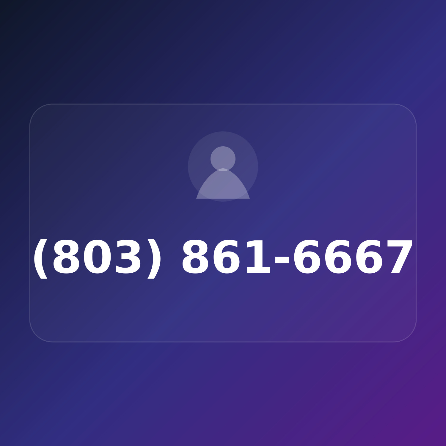 (803) 861-MOMS product image