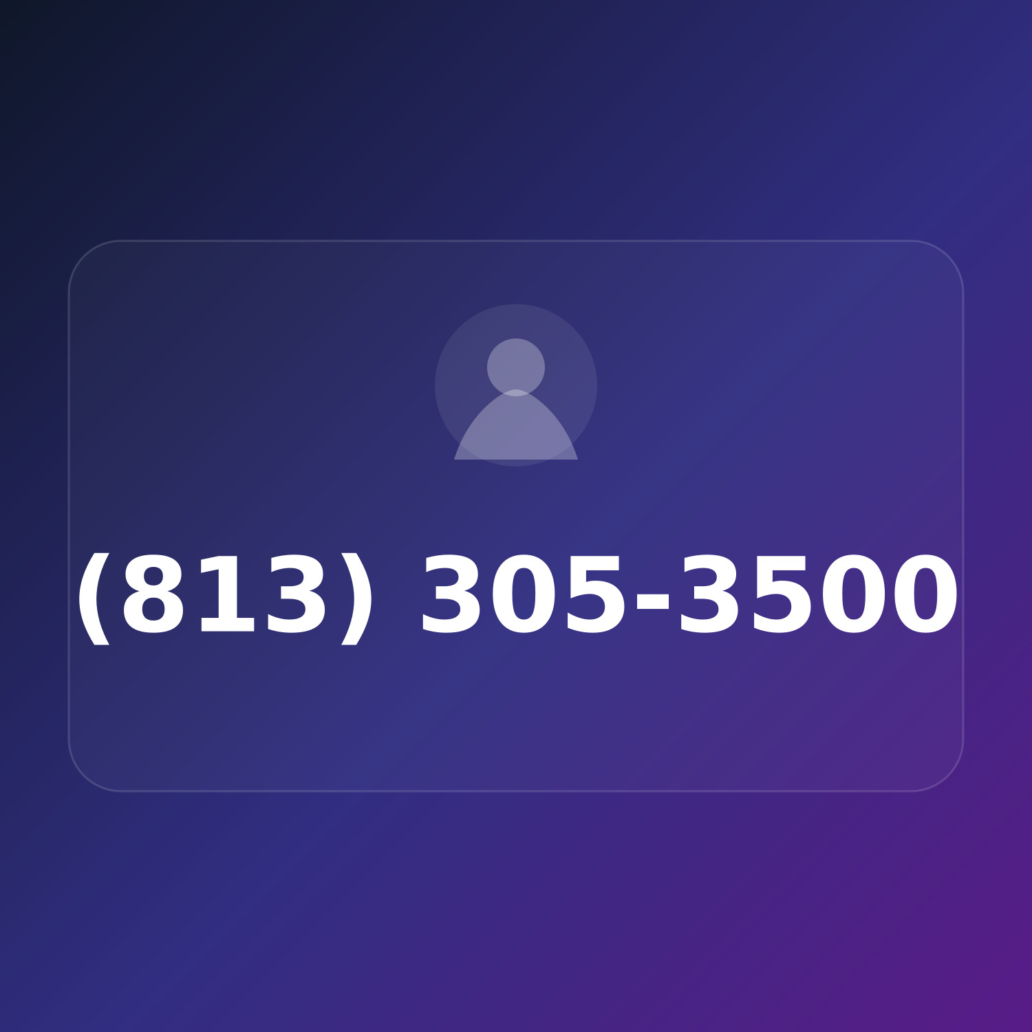 (813) 305-3500 product image