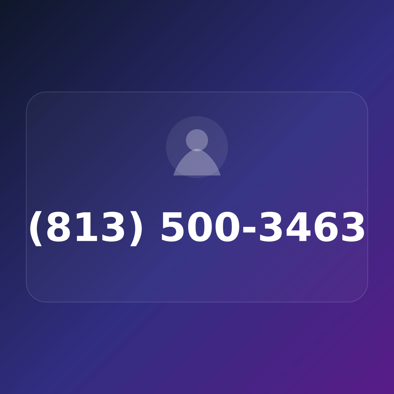 (813) 500-FIND product image